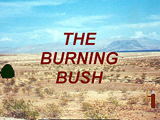 download The Burning Bush v103 Screensaver