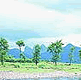 download Forest Images v1.0 Screensaver