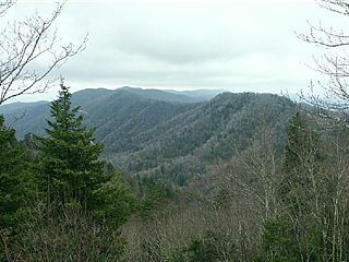 download Smokies Vistas And Overlooks v1.0 Screensaver