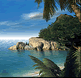 download DVTurtles Beach Screensaver