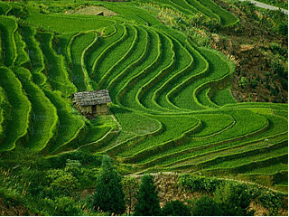 download Awesome China Landscape Screensaver
