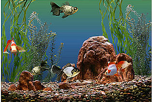 download Gold Fish v1.0 Screensaver