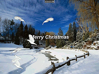 download Christmas Doves Screensaver