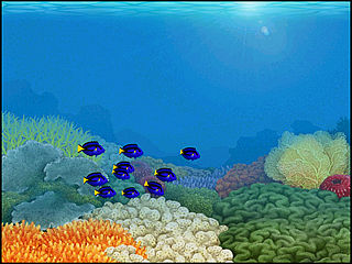 download Living Coral Screensaver