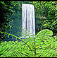 download LivingWaters-Tropical Paradise v1.0 Screensaver