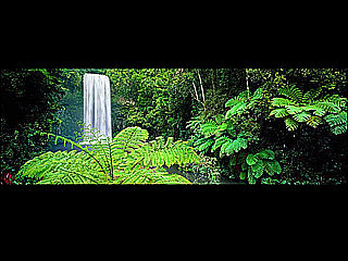download LivingWaters-Tropical Paradise v1.0 Screensaver