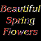 download Beautiful Spring Flowers Screensaver