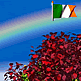 download St. Patrick's Day (Leprechaun Island v1.0) Screensaver