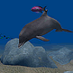 download Dolphin Aqua Life 3D Screensaver