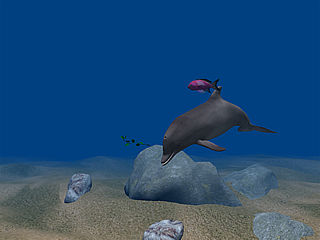 download Dolphin Aqua Life 3D Screensaver