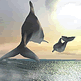 download Dolphins 3D Screensaver