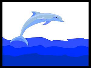 download Dolphins Screensaver by Ken