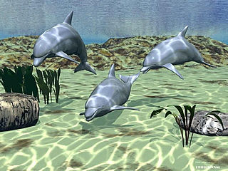 download Dolphins Screensaver by TNJ