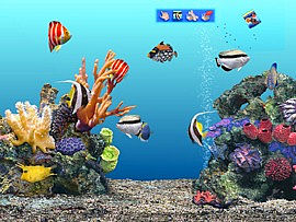 download 3D Aqua Real Screensaver