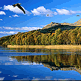 download Eagle River Screensaver