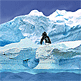 download Fascinating Antarctica Screensaver