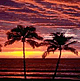 download Hawaii Screensaver by SD