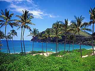 download Hawaiian Vacation Screensaver
