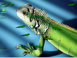 download Iguana Screensaver