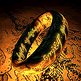 download 3D The One Ring Screensaver