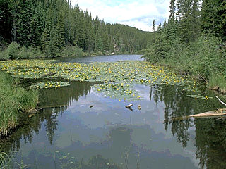 download Lakes And Rivers Scenic Reflections Screensaver