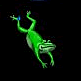 download Leap Frog v203 Screensaver