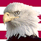 download Patriot Eagle Screensaver