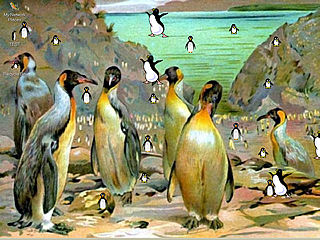 download Penguins Gathering Screensaver