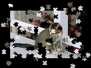 download Pet Puzzle Screensaver