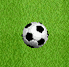 download Soccersaver Screensaver