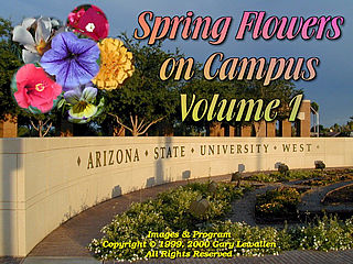 download Spring Flowers On Campus v1 Screensaver