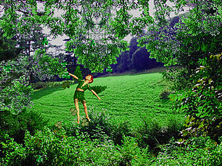 download St. Patrick's Day (3D Shamrock Fairy) Screensaver